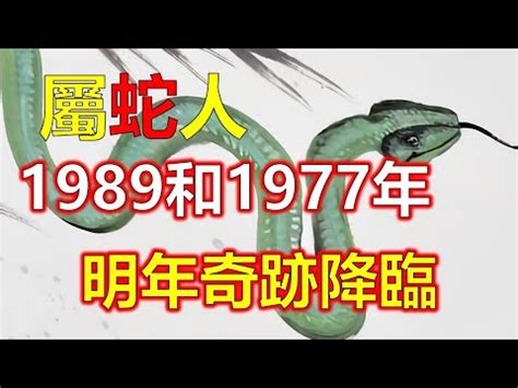 雞飛蛋打梗 1989年屬蛇